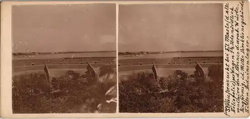 Kairo القاهرة Strausfarm El Masle Heliopolis CDV Kabinettfoto 1909 Privatfoto