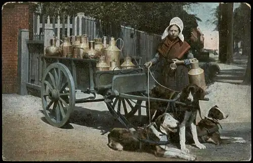 Postkaart Belgien Milchfrau mit Hundewagen - Flamande Typen 1913