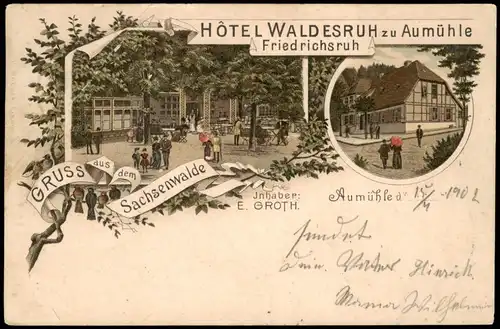 Ansichtskarte Litho AK Aumühle HÔTEL WALDESRUH zu Aumühle 1902