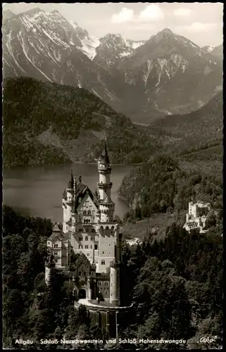 Schwangau Blick auf Schloss Neuschwanstein Colorierte Fotokarte 1956