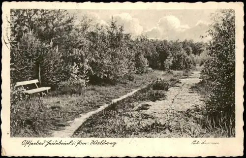 Ostseebad Heidebrink Międzywodzie Bank, Waldweg - Pommern Pomorskie 1936