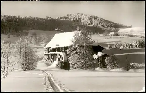 Ansichtskarte Hinterzarten Eingeschneite Sägemühle 1965