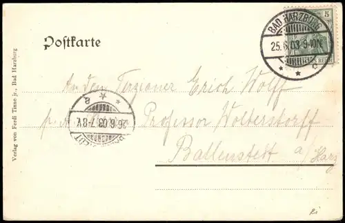 Ansichtskarte Bad Harzburg Kurhotel Juliushall 1903