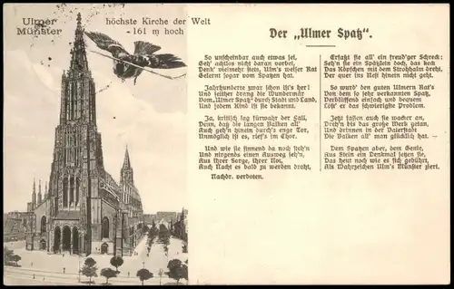Ansichtskarte Ulm a. d. Donau Münster - Liedtext Ulmer Spatz 1909