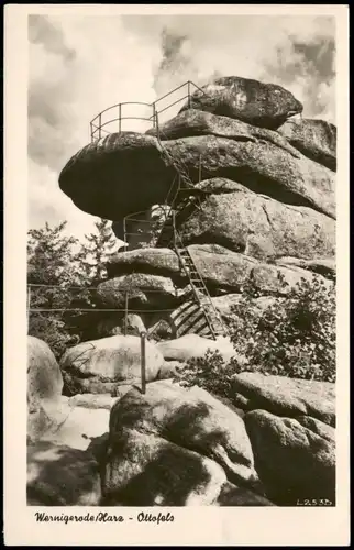 Ansichtskarte Wernigerode Fotokarte Ottofels 1954