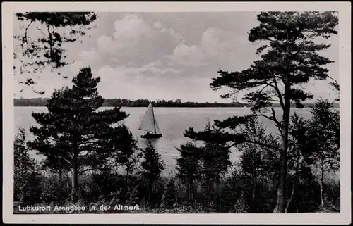 Ansichtskarte Arendsee (Altmark) Arendsee Segelboot auf dem See, DDR AK 1955
