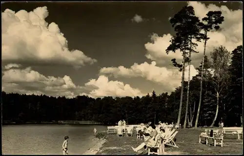 Ansichtskarte Neuglobsow-Stechlin Badestrand am Stechlin-See Wald 1960