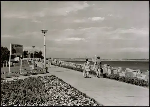 Ansichtskarte Senftenberg (Niederlausitz) Großkoschen Promenade Fabrik 1974