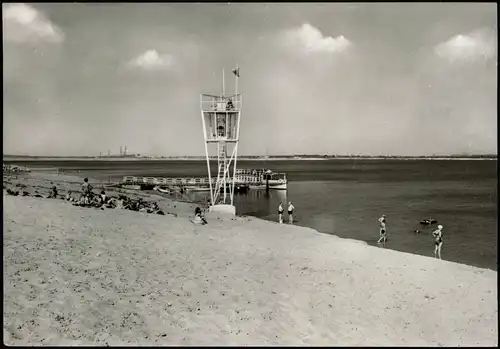 Senftenberg (Niederlausitz) Erholungszentrum Senftenberger See- Foto AK 1974