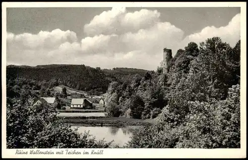 Knüllwald Ruine Wallenstein Teiche 1956  gel. Landpoststempel Oberrappenfeld