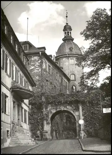 Ansichtskarte Laubach (Hessen) Straßenpartie - Eingang zum Schloß 1979