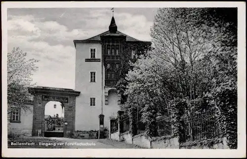 Ansichtskarte Ballenstedt (Harz) Eingang Forstfachschule 1957