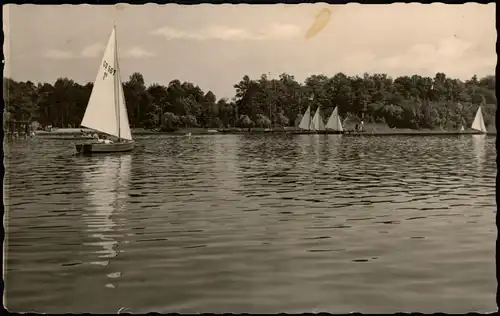 Arendsee (Altmark) Arendsee Segler u. Segelboote DDR Ansicht 1963/1959