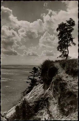 Ansichtskarte .Mecklenburg-Vorpommern Ostsee/ Baltic Sea - Steilküste 1960