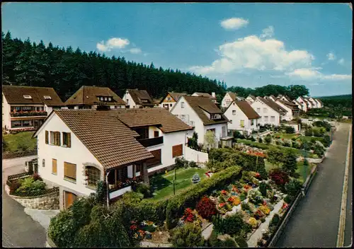 Ansichtskarte Neuhaus im Solling-Holzminden Pensionen am Mädchenberg 1965