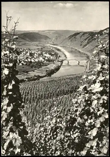Ansichtskarte Trittenheim con den Weinbergen auf die Stadt 1968