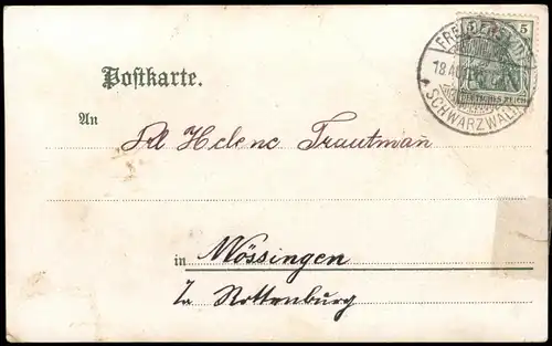 Ansichtskarte Kniebis-Freudenstadt Straßenpartie Gasthaus Pension 1906