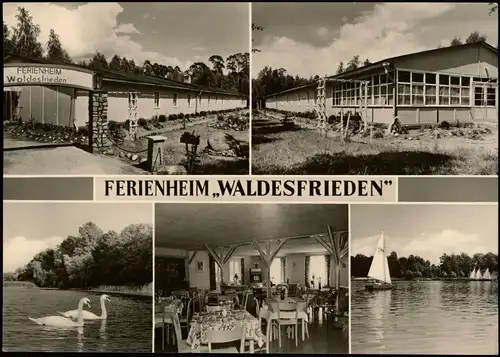 Arendsee (Altmark) DDR Mehrbild-AK 5 Fotoansichten Ferienheim Waldesfrieden 1966