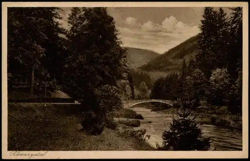 Ansichtskarte Schwarzburg Partie beim Schweizerhaus 1927