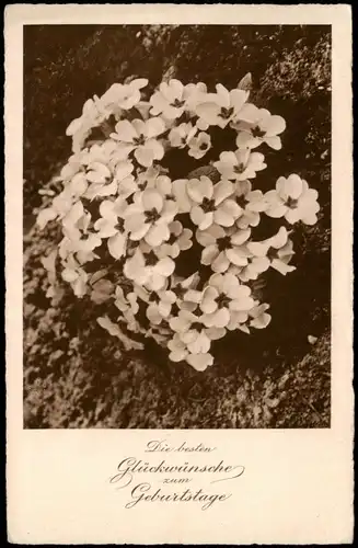 Ansichtskarte  Glückwunsch Geburtstag Birthday Blumen 1933