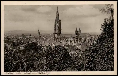 Ansichtskarte Freiburg im Breisgau Totale 1929