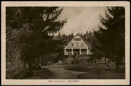 Ansichtskarte Bad Wildungen Waldhaus 1925