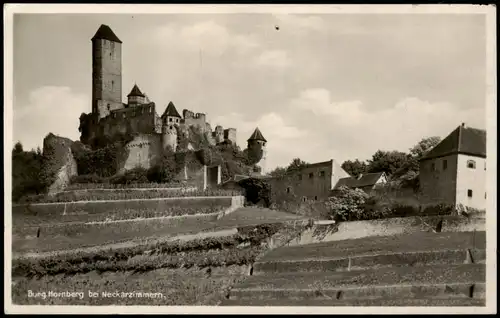 Ansichtskarte Neckarzimmern Burg Hornberg, Weinberge 1938