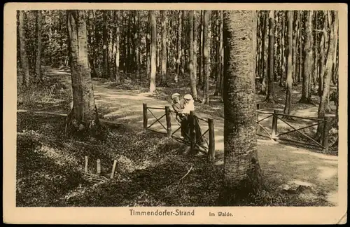 Ansichtskarte Timmendorfer Strand Liebespaar - Im Walde 1921