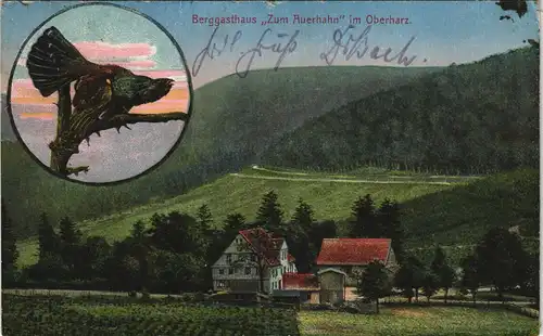 Ansichtskarte Hahnenklee-Bockswiese-Goslar Berggasthaus "Auerhahn" 1909