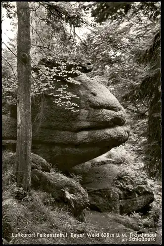Falkenstein (Bayerischer Wald) Felsen Partie "Froschmaul" im Schloßpark 1963