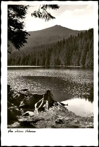 Bayerisch Eisenstein Großer Arbersee mit Arber Bayer. Wald 1960