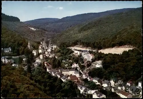Ansichtskarte Schlangenbad Panorama-Ansicht 1969