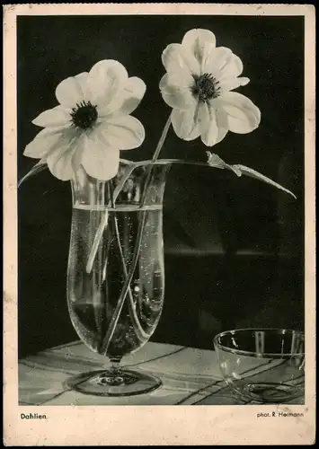 Ansichtskarte  Botanik :: Blumen im Glas - Fotokunst 1943