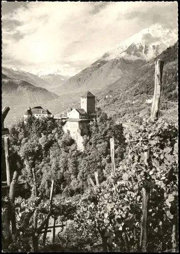 Cartoline Meran Merano Schloss Tirol in Südtirol Italien 1960