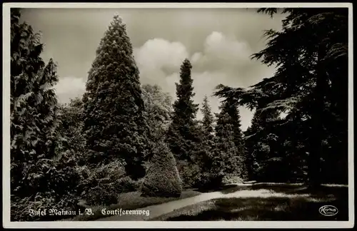 Ansichtskarte Reichenau (Bodensee) Contifernweg 1932