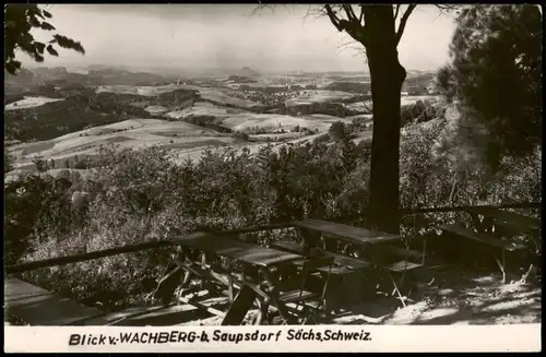 Ansichtskarte Saupsdorf-Sebnitz Wachberg - Restaurant 1963