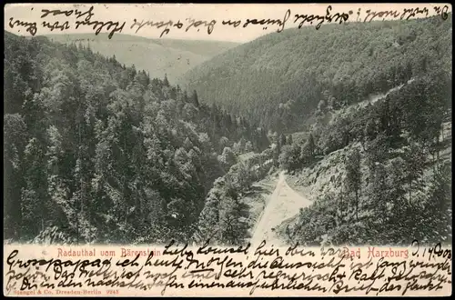 Bad Harzburg Umland-Ansicht Radauthal vom Bärenstein gesehen 1903