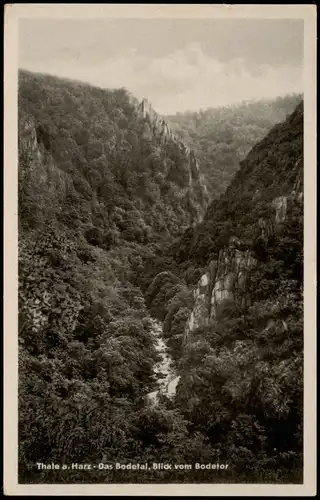 Ansichtskarte Treseburg Das Bodetal, Blick vom Bodetor 1953