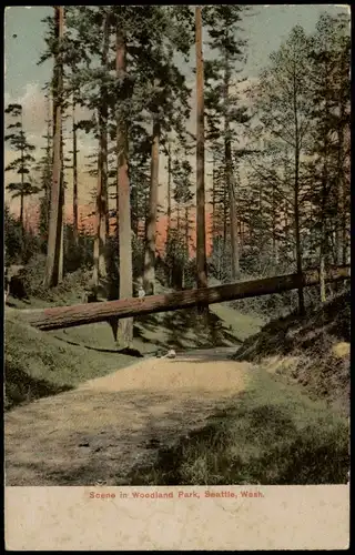 Postcard Seattle Scene in Woodland Park, Seattle, USA 1920