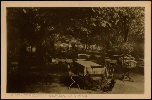 Ansichtskarte Reesdorf-Möckern Gasthaus Lindenhof 1932
