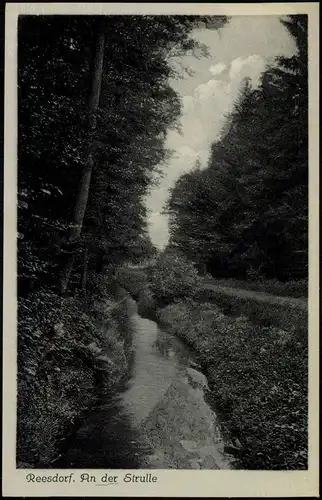 Ansichtskarte Reesdorf-Möckern An der Strulle 1934