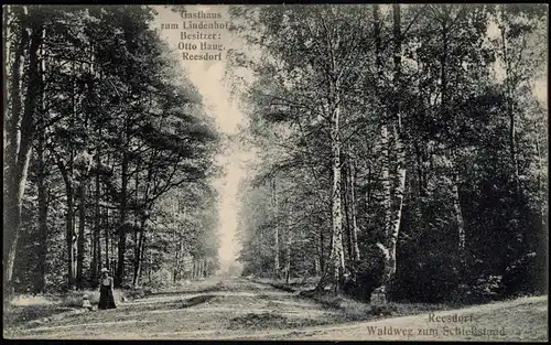 Ansichtskarte Reesdorf-Möckern Waldweg zum Schießstand 1923
