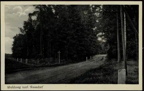 Ansichtskarte Reesdorf-Möckern Waldweg 1932