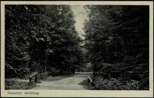 Ansichtskarte Reesdorf-Möckern Waldweg - Brücke 1932