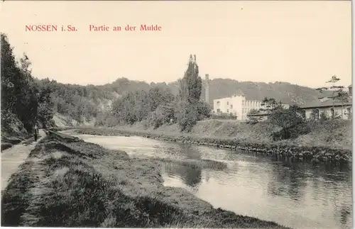 Ansichtskarte Nossen Muldenpartie - Fabrik 1916