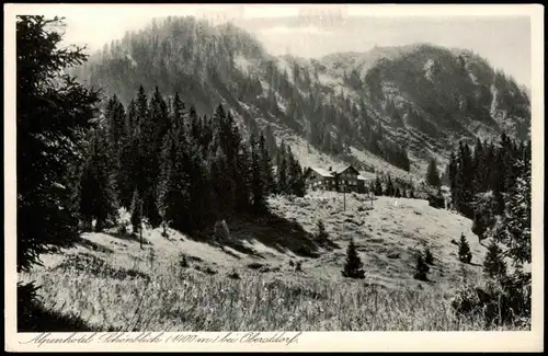 Ansichtskarte Oberstdorf (Allgäu) Alpenhotel Schönblick (1400 m) 1928