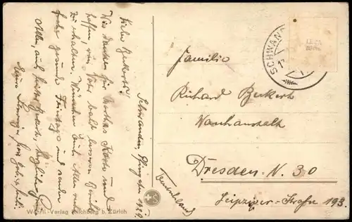 Ansichtskarte Bern (Schweiz) Berne Stadt und Brücke 1923