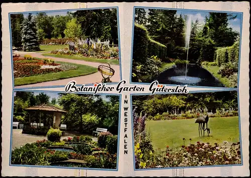 Ansichtskarte Gütersloh Botanischer Garten, MB 1965