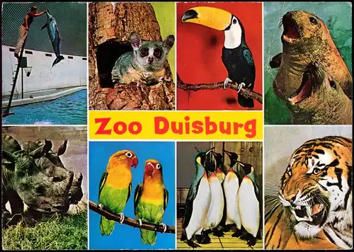 Duisburg Tierpark Zoo Mehrbild-AK (ua. Tiger, Pinguin, Nashorn) 1979