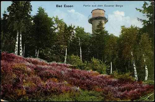 Ansichtskarte Bad Essen Aussichtsturm aud dem Essener Berge 1913